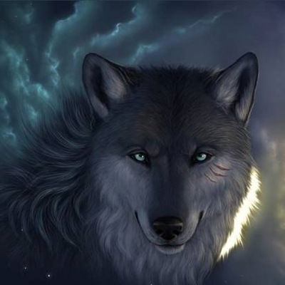 Давид Черкашин