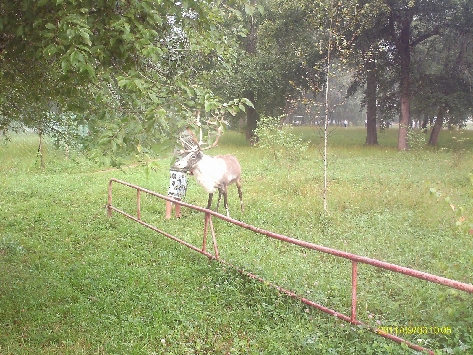 Виталя Бровкин