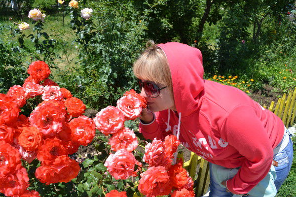 Елена Ларькина