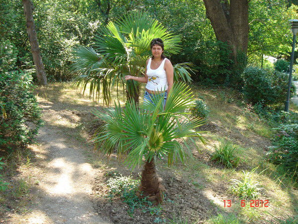 Оля Болотова