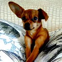 Оксана Караваева