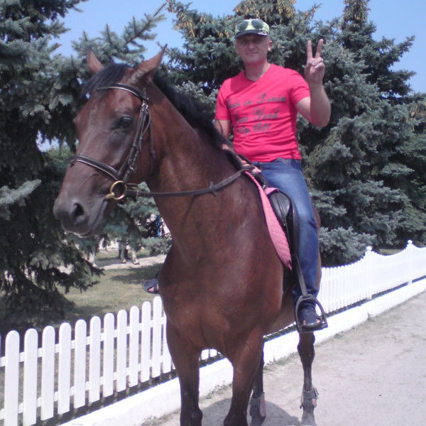 Алексей Плотников