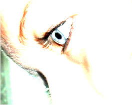 Solamente Para Ti....