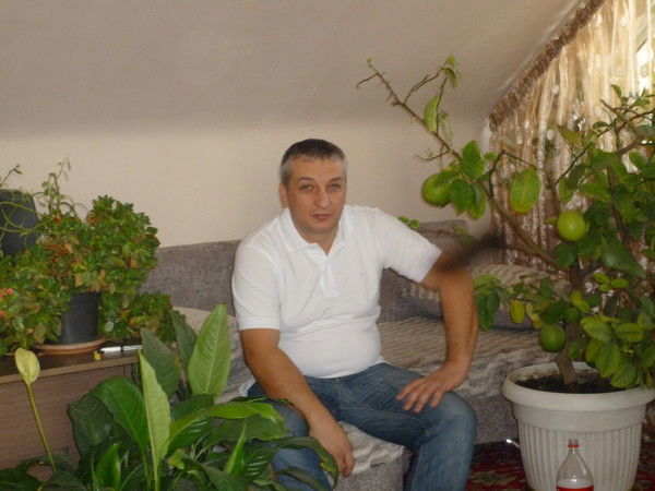 Дмитрий Орфаниди