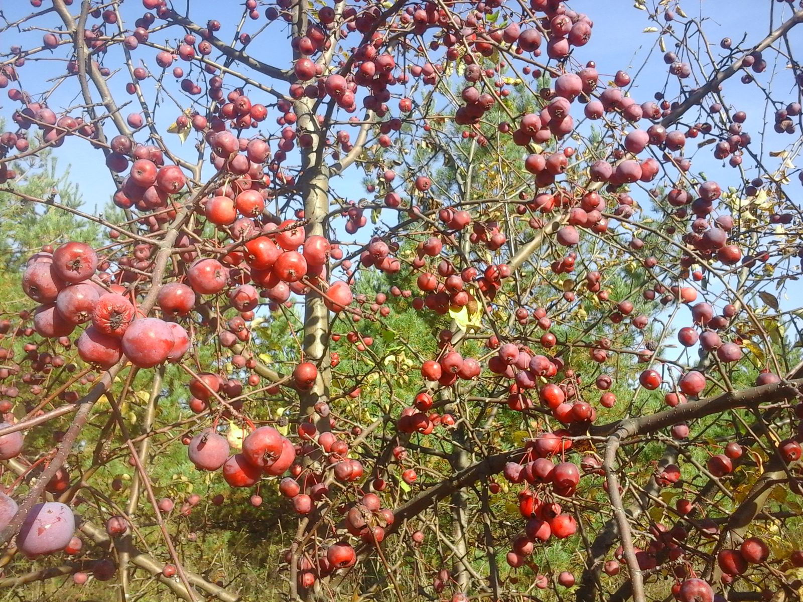 Кто То Здесь Есть..