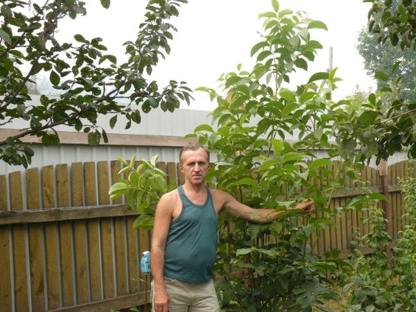 Валерий Горячев