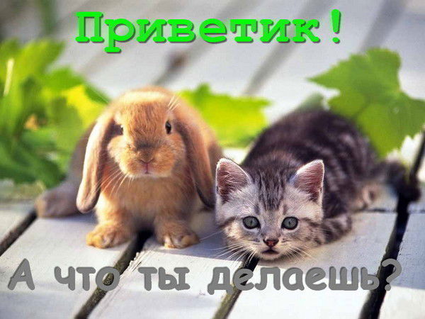 Магомедова Асият