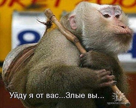 Руслан Мидигулов