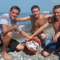 Александр Старков