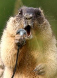 Егор Мезинцев