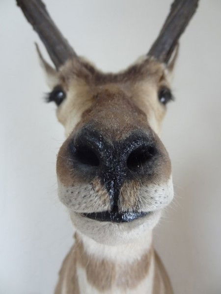 Абай Алимбаев