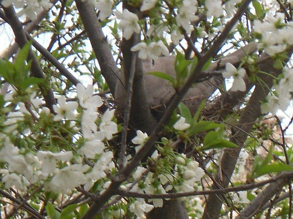 Людмила *****