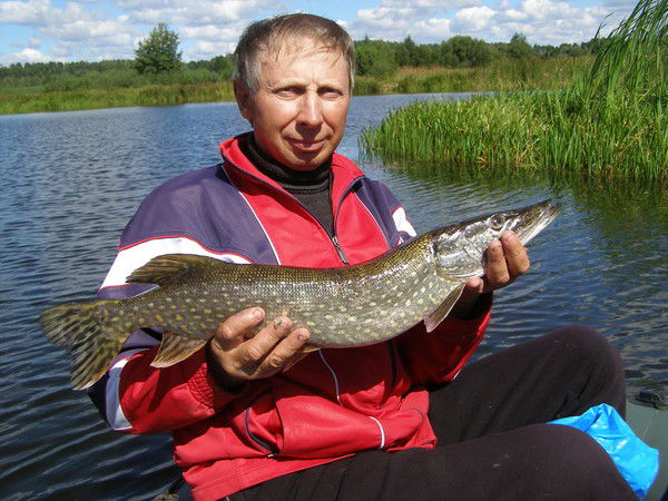 Олег Штурма