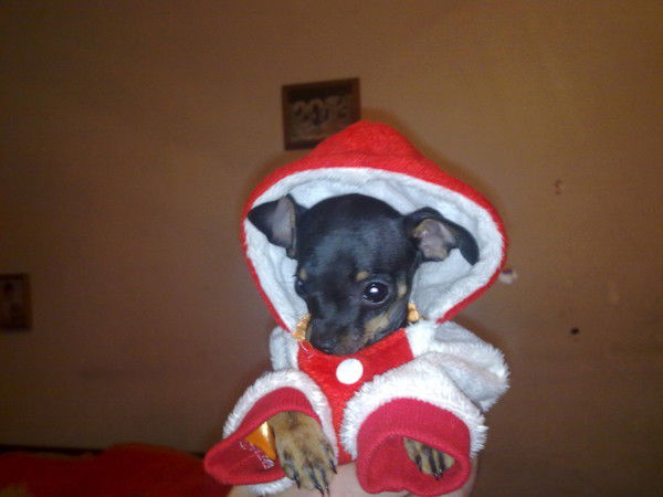 Сергей Потапов