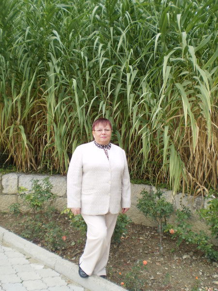 Наталья Сениченко