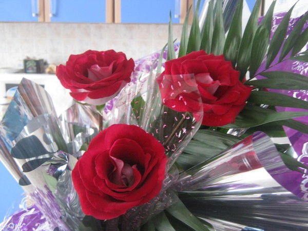 Балым Шамшитова