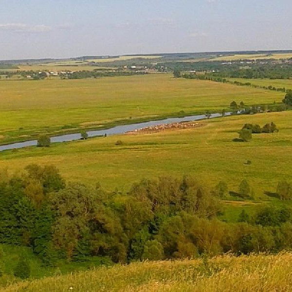 Евгений Сайкин