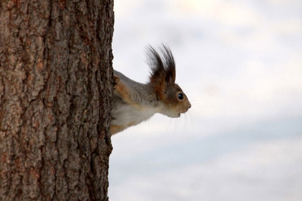 Татьяна Татьяна