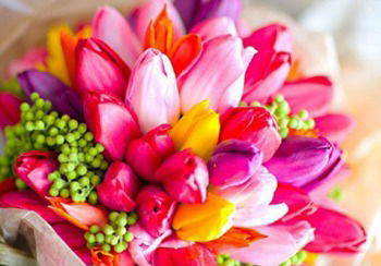 Балабакша Нарын