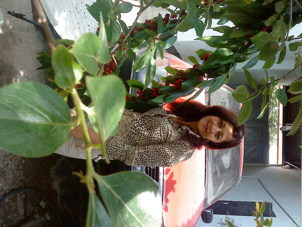 Каримова Амаля