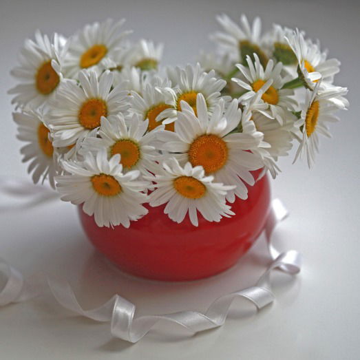 Ольга Батрух