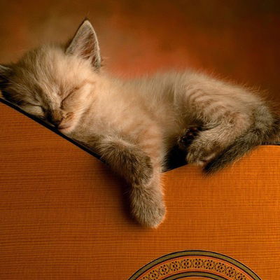 Давид Мартиросян