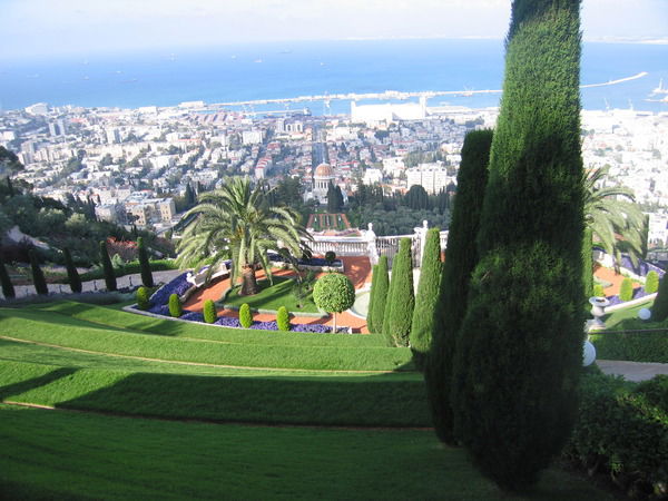 Алексей Манзюк