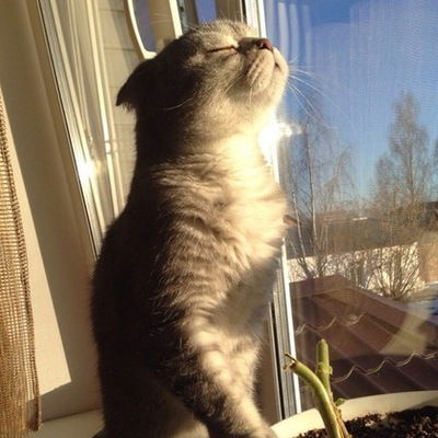 Роман Панков