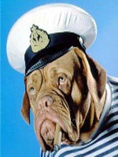 Витек Махнин