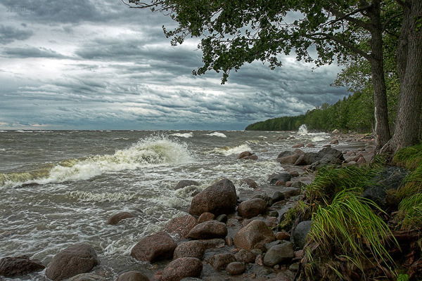 Александр Гребёнкин
