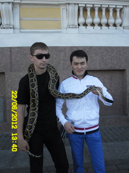 Алмаз Шадыбеков