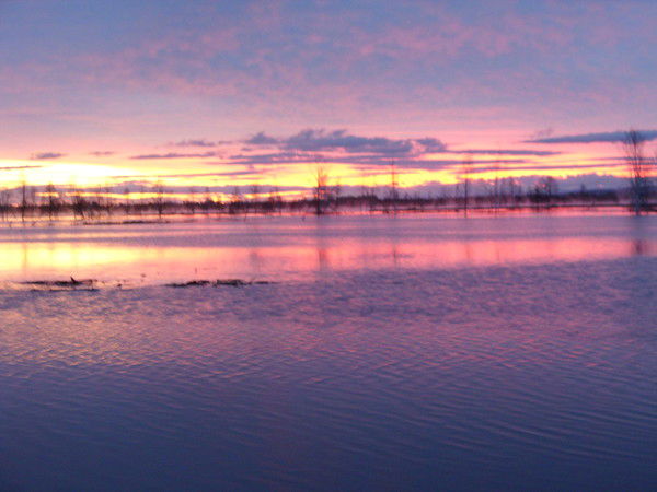 Роман Дербышкин