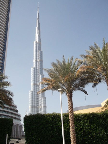 Будущий Олигарх