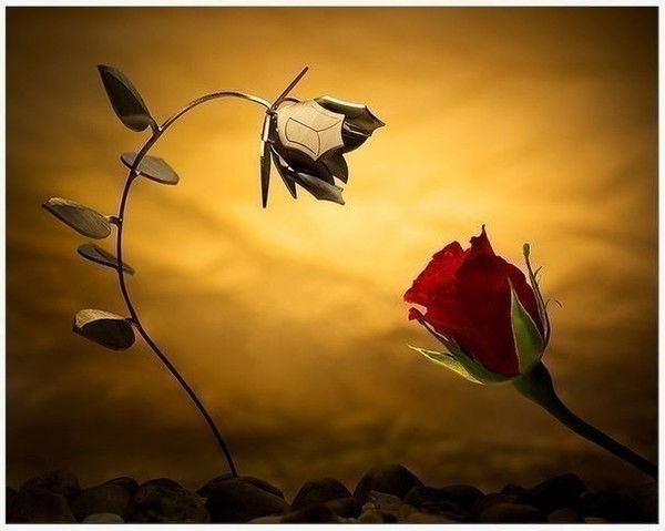 Наталья Филева