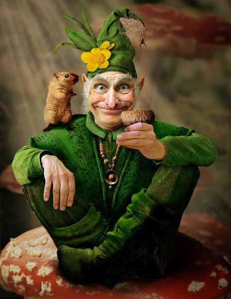 Добрый Гном ***