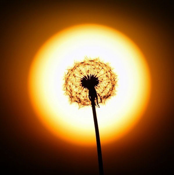 Оксана Кузнецова