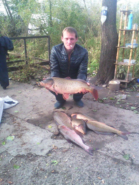 Генрих Хиль