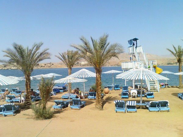 Геннадий Политов