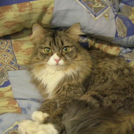 Катя Черникова