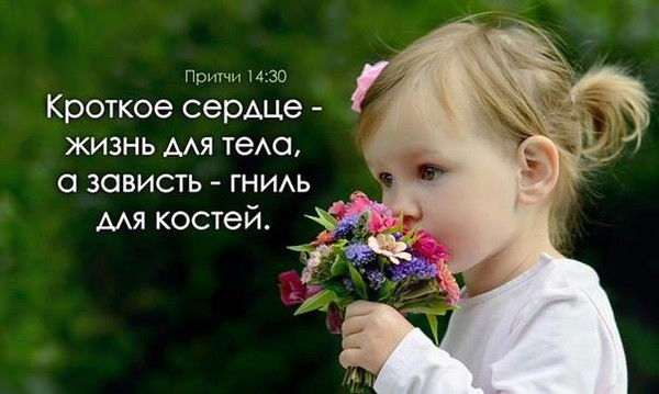 Дмитрий Иванов