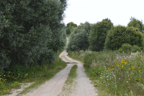 Ольга Алфимова