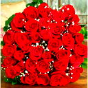 Lolai Alisher