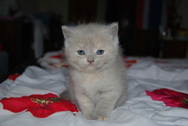 Наталья Давиденко