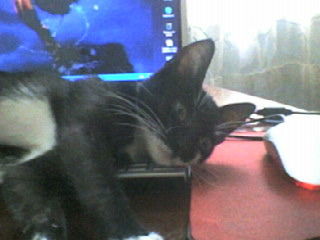 Костянтин Єпіфанцев