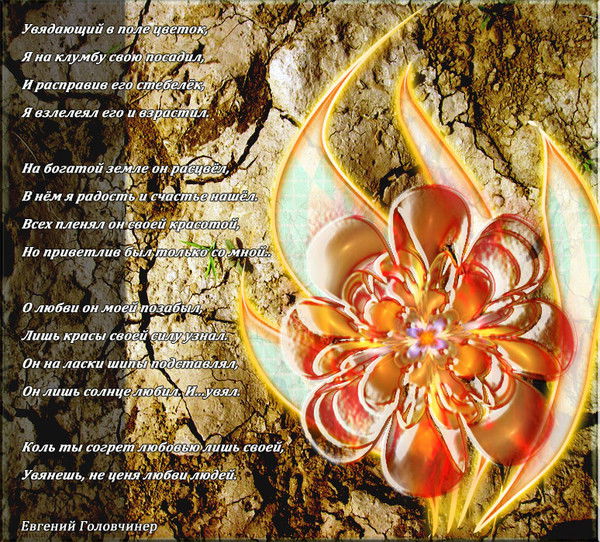 Диля Мирзоева