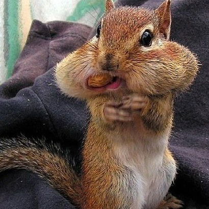 София Кандрина