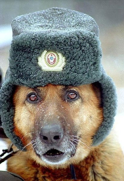 Юрий Фуражевский