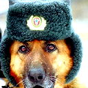 Юрий Фуражевский