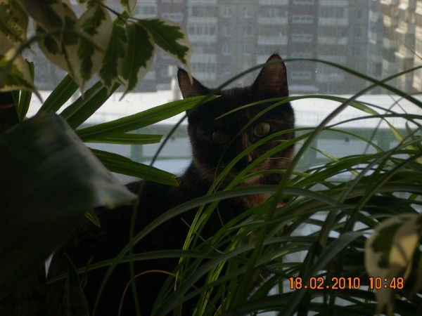 Ирина Малых