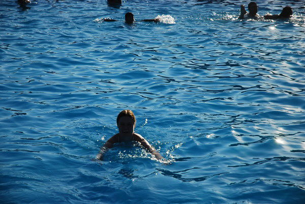 *°◘虑是*замок #а $ Kø?øl??å ??